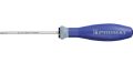 Screwdriver TX15x80mm 