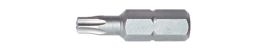 Bit Torx 1/4