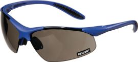 Safety goggles DAYLIGHT PREMIUM EN 166 arms dark blue, 