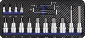 Steckschlüsselsatz 19-tlg1/4+1/2 Zoll 1.25-17mm fi6-KT-Schr